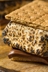 Homemade Gooey Smores Sandwiches