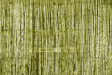Weathered bamboo fence in yellow tone.