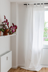 Part of the home or hotel interior, window with white curtains and a shelf with flowers and radiator