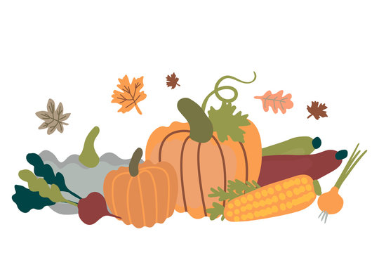 autumn harvest pumpkins, leaves, vegetables clip art preview