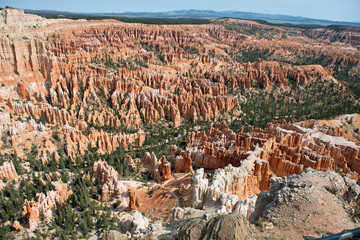 Bryce Canyon with white rocks, red hoodoos and trees
