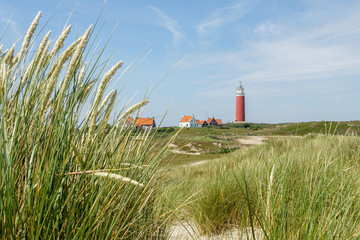 The lighthouse of texel in holland on a beautiful day