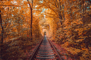 Fototapeta na wymiar love tunnel in autumn