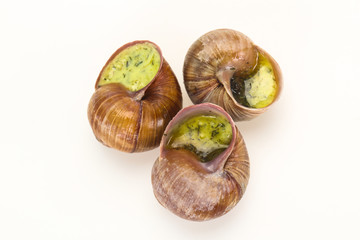 French cuisine - Escargot with sauce