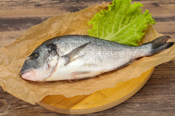 Raw Dorada fish  for cooking