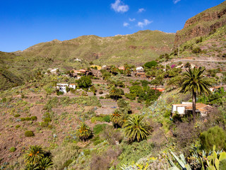 Fototapeta na wymiar Masca village, Tenerife, Canary Islands, Spain