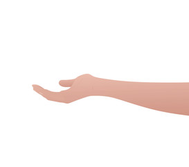 Open hand. arm. vector illustration