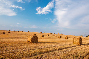 Wheat field after harvest with straw bales at sunset