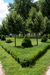 Park alley with crushed stone path with green trimmed trees and bushes, copyspace