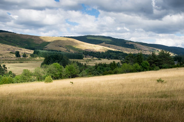 Fototapeta premium paysage de montagne dans les cévennes
