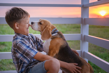 cute boy and dog Beagle sitting hugging on the veranda of the house on a summer evening against the...