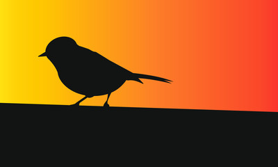 Obraz premium silhouette of bird