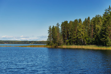 tranquil view of the lake shore in the morning