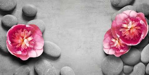 Fototapeta na wymiar Flat lay composition with spa stones, pion pink flower on grey background.