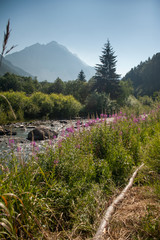 Landscape with a mountain river in Italian Alps in summer day