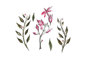 Watercolor branches with pink flowers and green leaves. Suitable for postcards, holiday