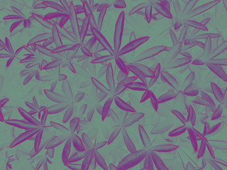 Purple dark contrast  leaves pattern natural background wallpaper vibrant contrast color  