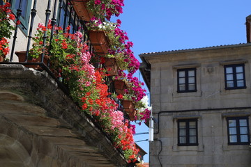 Fototapeta na wymiar balcón adornado con macetas de geranios de colores