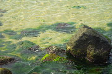Felsen in klarem Meerwasser