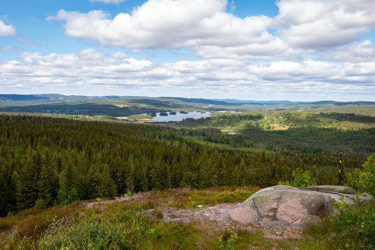 Swedish landscape with pine trees, hills and a lake, picture taken in region Dalarna, nearby Fredriksberg
