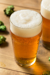 Refreshing Summer IPA Craft Beer