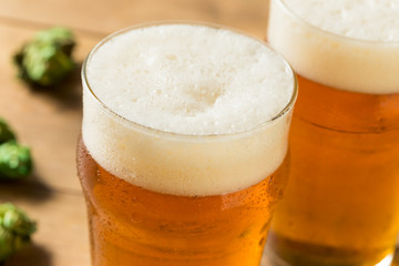 Refreshing Summer IPA Craft Beer