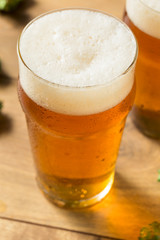 Refreshing Summer IPA Craft Beer