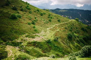 summer high in the mountains clouds forest