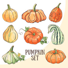 Set of hand drawn pumpkins. Collection of vector hand drawn pumpkin