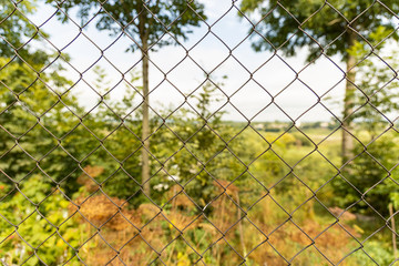 rural narrow grid foreground and unfocused blurred natural country side green and yellow scenic background view 