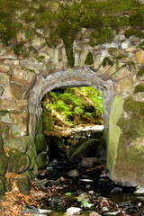 HIdden bridge in the woods