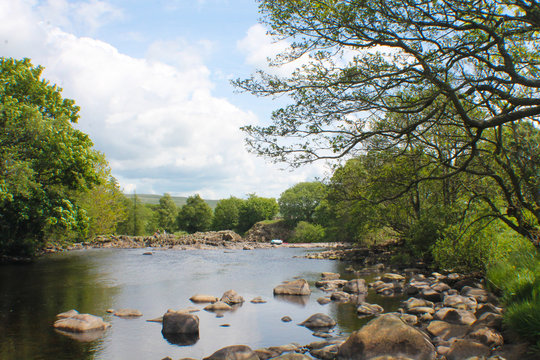 The River Tees