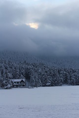 snowy nature landscape
