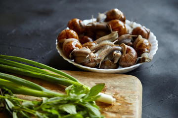 Cooking garden snails. Wooden cutting board and ingredients. Fresh mint leaves, green scallion, live snails in white bowl on stone table, black background