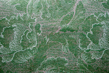 fragment of green faded tapestry carpet