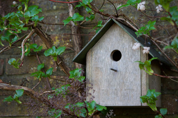 Bird house hanging on a brick wall in spring