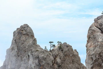 High cliffs of AI-Petri of Crimean mountains.