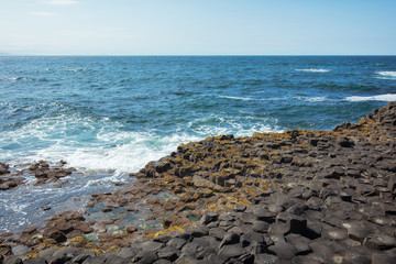 summer giants causeway coastline,Northern Ireland
