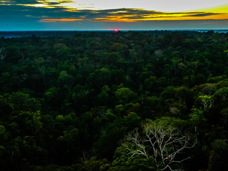 Sunrise at the forrest. MUSA, Manaus-AM