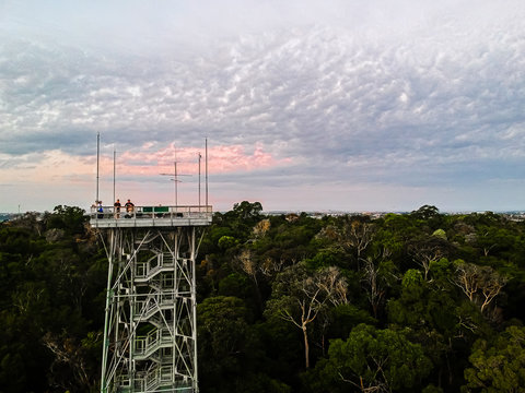 Sunrise at the forrest. MUSA, Manaus-AM