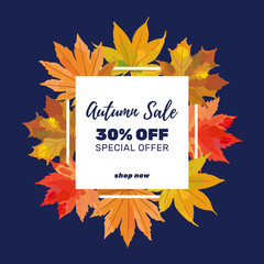 Autumn sale banner template. Colorful fall leaves