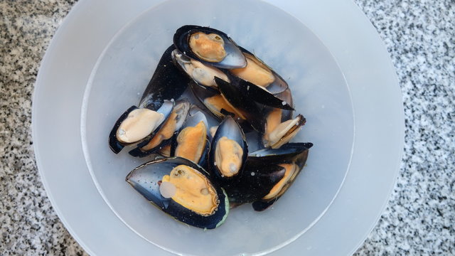 Preparing fresh clams in clean water