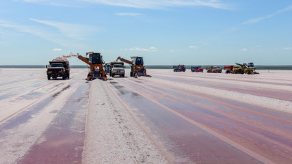 Harvesting salt in a salty lagoon, La Pampa, Argentina