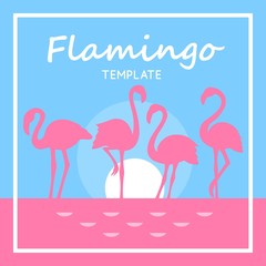 Summer card concept with Colorful Cartoon Pink Flamingo Birds template