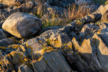 Klippan med gräset.