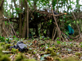 Naklejka na ściany i meble Plastic bag in a forest in focus, Handmade hut in the background out of focus. Concept ecology in natural environment.