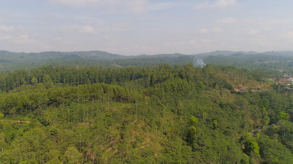 tropical forest in Indonesia. aerial view rainforest with tall green trees, lush vegetation on mountain slopes.