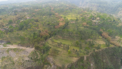 mountain landscape slopes mountains covered with green tropical forest. Jawa, Indonesia. aerial view mountain forest with large trees and green grass.