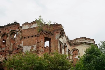 Obraz premium Junge Bäume wachsen auf der Ruine des verlassenen Herrenhauses in Gostilitsy in der Oblast Leningrad bei Sankt Petersburg