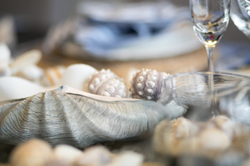 Blurred shells on table decoration